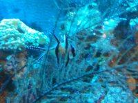 2010-10-04 22.30.08.jpg