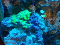 2010-10-04 22.30.31.jpg