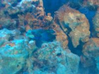 2010-10-04 22.31.14.jpg