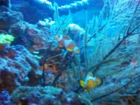 2010-10-04 22.32.20.jpg