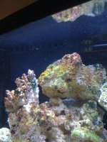 skool 316 test two 040.jpg