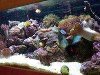 IMG00004-20100829-1405.jpg