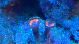 20101129_006.jpg