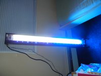DSCN0173.JPG