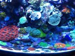 rsz_img_0315.jpg