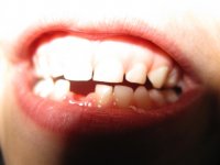IMG_8166.jpg