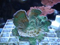DSC04945.jpg