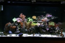 tank_20110420.jpg