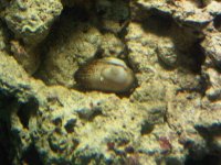 IMG00181-20110225-1057.jpg