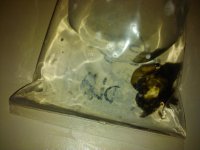 2010-12-05 02.42.10.jpg