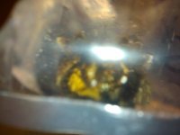 2010-12-05 02.43.57_New York_US.jpg