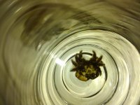 2010-12-05 03.21.00.jpg