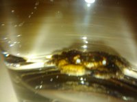 2010-12-05 03.20.37.jpg