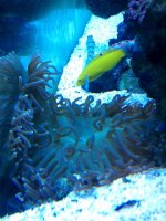 IMAG0198.jpg