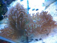 IMAG0208.jpg