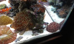IMAG0046.jpg