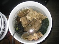 IMG_8942.JPG