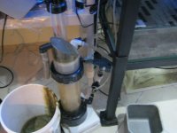 coral tank 002.jpg