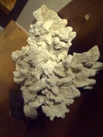 IMG-20110227-00546.jpg