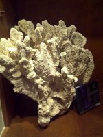 IMG-20110227-00548.jpg
