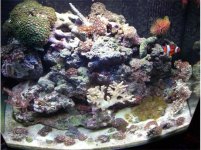 erase 003 544x406.jpg