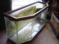 Old Tank.jpg