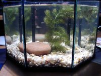 half gallon nano 002.jpg
