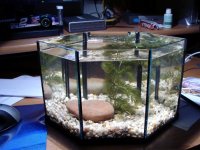 half gallon nano 003.jpg