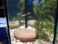 half gallon nano 004.jpg