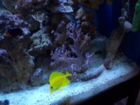 100_0124.jpg