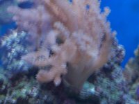 100_0134.jpg