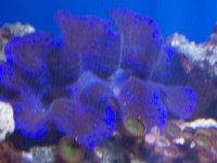 100_0137.jpg