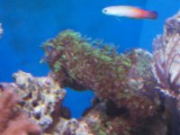 100_0128.jpg