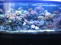 12-18-05 123.jpg