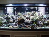 P2250251 (Custom).JPG