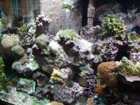 P2250257 (Custom).JPG