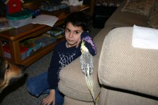 bird.jpg