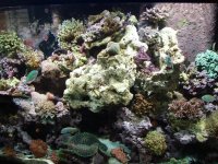 P2250256 (Custom).JPG