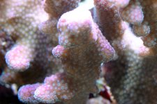 IMG_6054.JPG