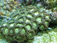 DSCF0864.JPG