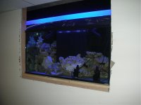 august 075.jpg
