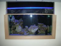 august 084.jpg