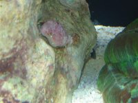 DSC03607 (Medium).JPG