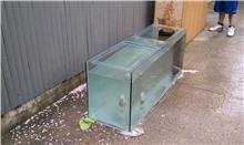 tank with water.jpg