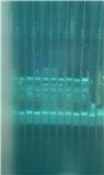 glass edge.jpg