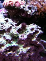 IMG_0202.jpg