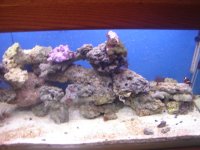 new 90 gal 004.JPG