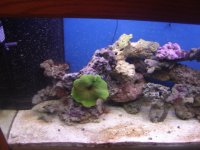 new 90 gal 003.JPG