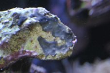 _JOE2715 (Large).jpg