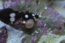 _JOE2717 (Large).jpg